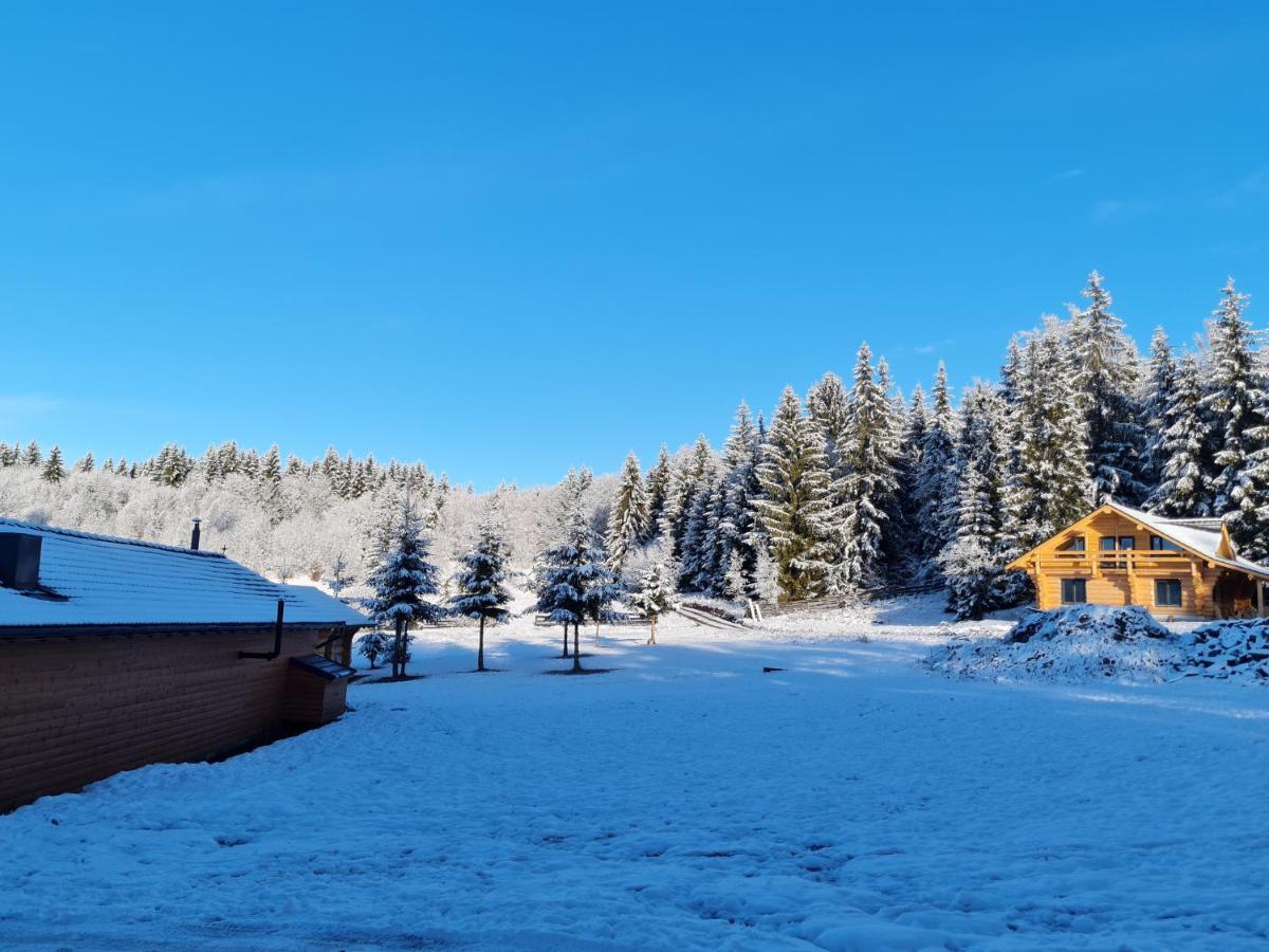 Harghita Log Houses Izvoare  Dış mekan fotoğraf